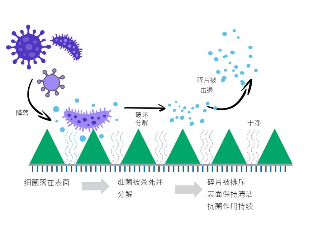 SSS - pic 3 (S-chinese)