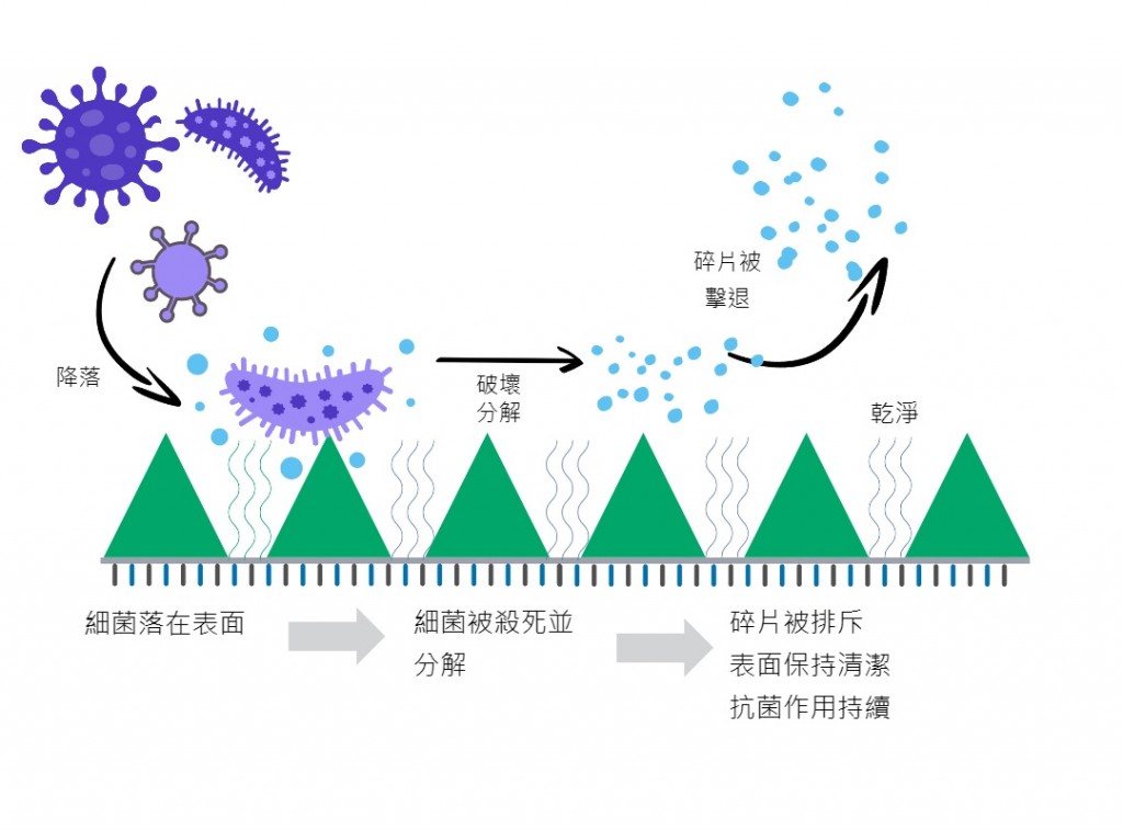 SSS - pic 3 (T-chinese)