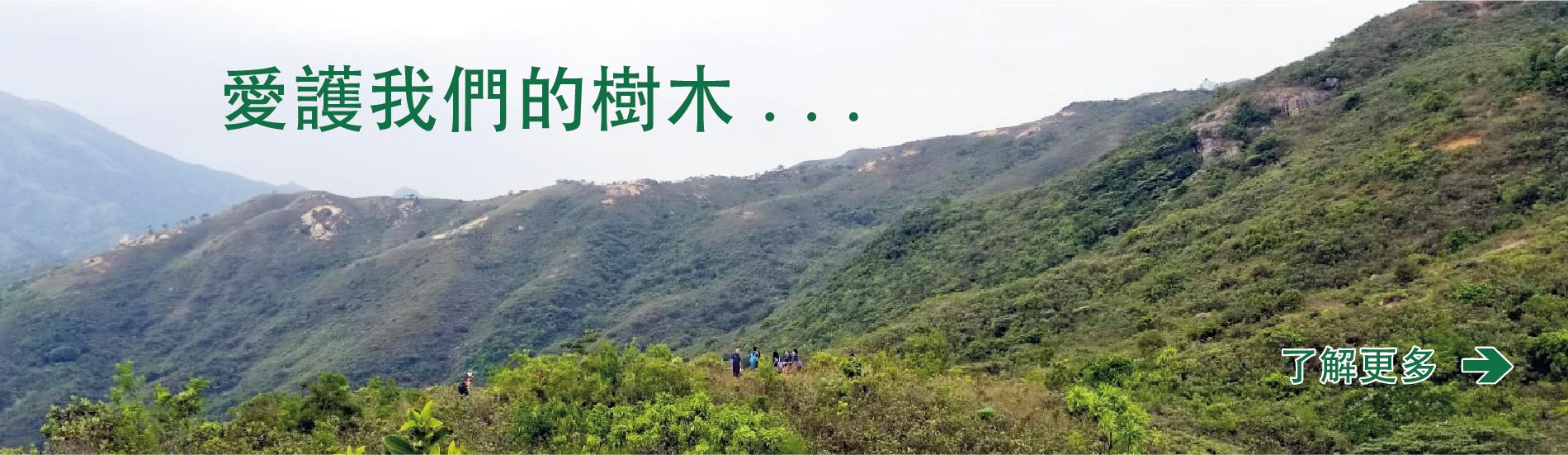 banner植树节17102-04