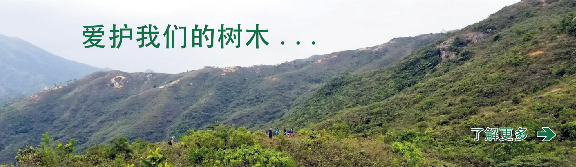 banner植树节17102-05