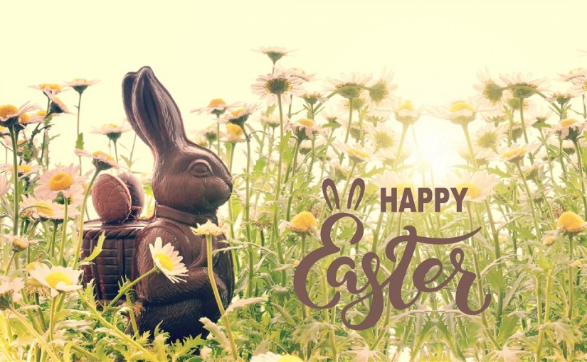 New Island wishes you a Happy Easter