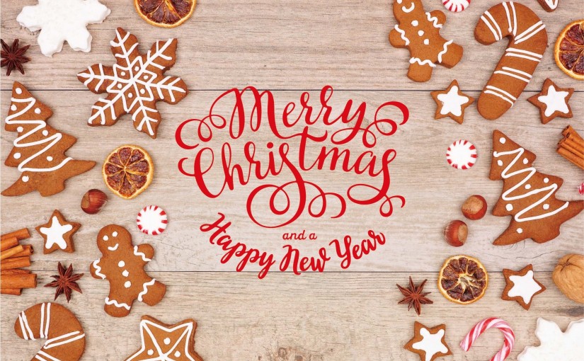 New Island wishes you a Merry Christmas and Happy New Year