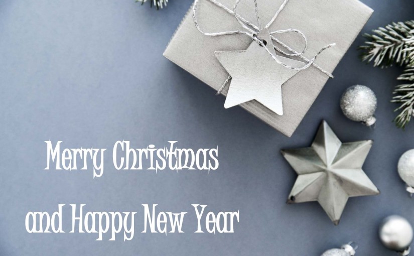 New Island wishes you a Merry Christmas and Happy New Year