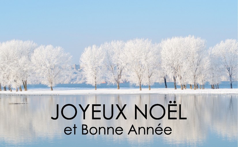 Joyeux Noël et bonne année 2025
